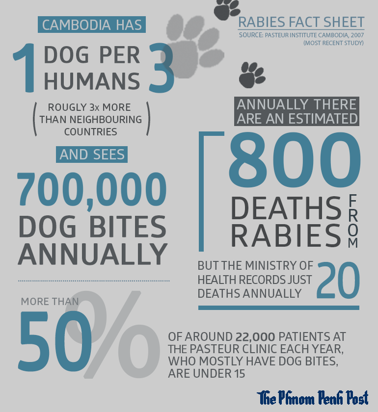 Facts about rabies in Cambodia