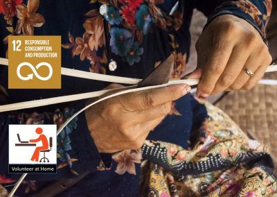 Volunteer at Home: Web Development for an Ethical Fashion Social Enterprise