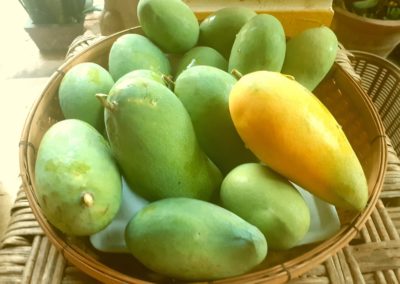 Dry Season or Wet Season? Mango Season!